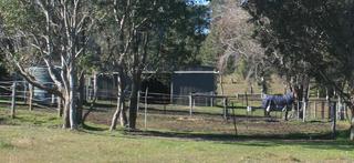 Property (2013-07-06)
