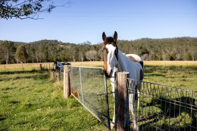 29 Marylands Close, NSW 2430