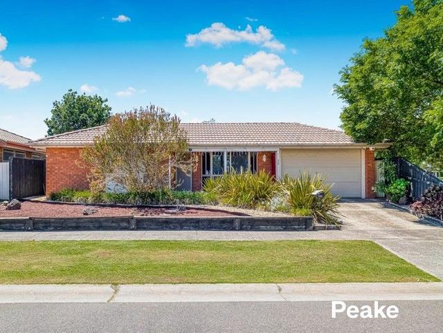 20 Frances Crescent, VIC 3977