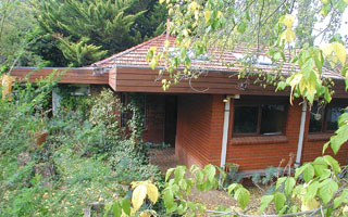 Back (2007-10-16)