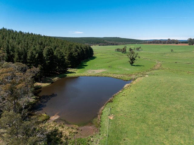 439 Tuglow Forest Road, NSW 2787