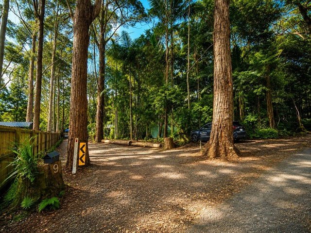 9 Gwongorella Parade, QLD 4213