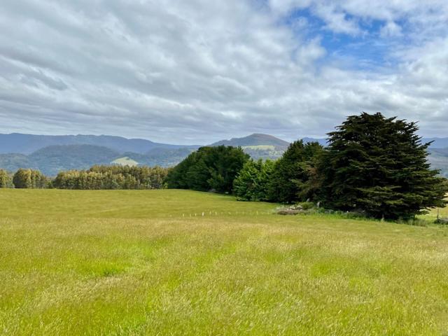 29371 Tasman Highway, TAS 7264