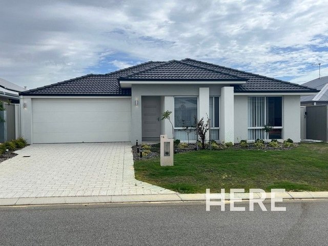 16 Isabelline Terrace, WA 6038