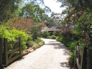 Driveway to house