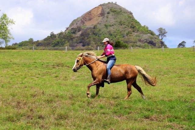 1 Grunou Road, QLD 4310