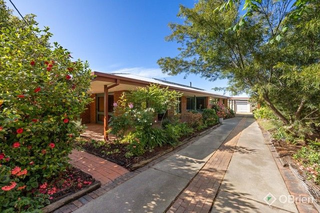 41-43 Tierney Street, VIC 3875