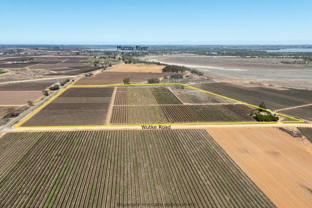 41 Wutke Road, SA 5346