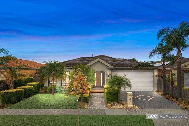 5 Lynbridge Crescent, VIC 3029