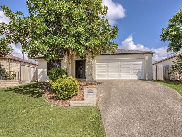19 Domatia Street, QLD 4110
