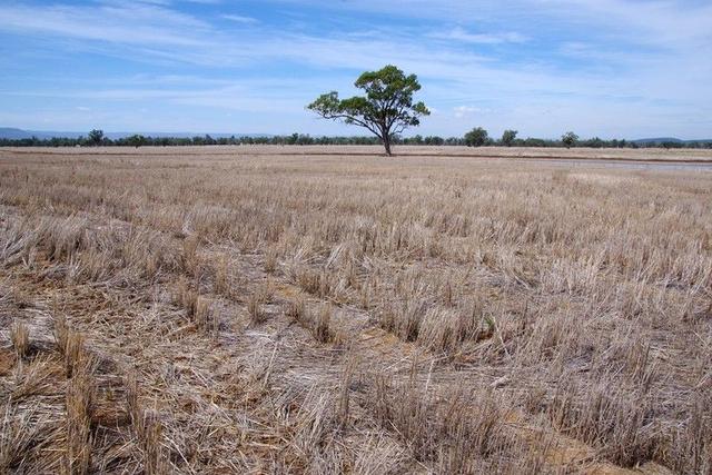 1200 Old Narrabri Road, NSW 2390