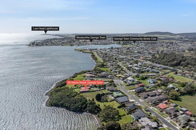 20 Reece  Street, TAS 7253