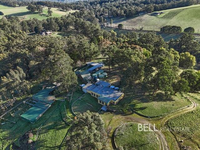 11 Taylor Road, VIC 3781