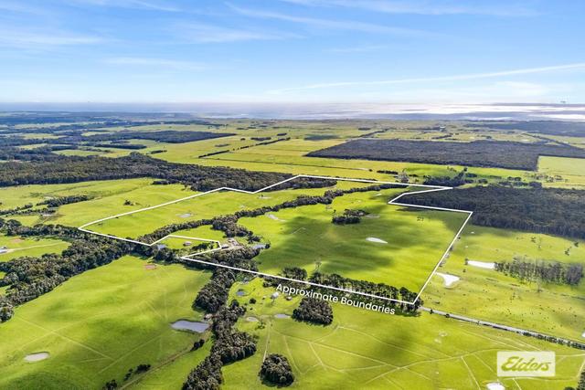 767 Mount Stanley Road, TAS 7256