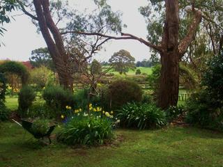 View from front of house