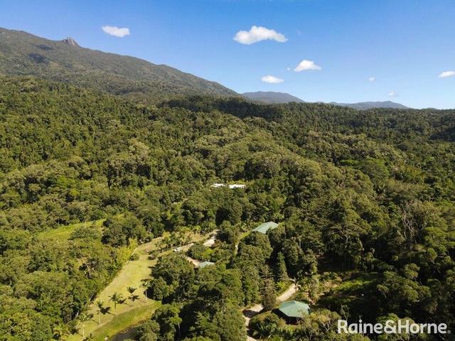4 Whyanbeel Rd, QLD 4873