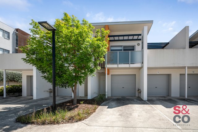 3/6 Sapling Street, ACT 2914