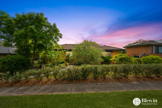 20 Spofforth Street, ACT 2615