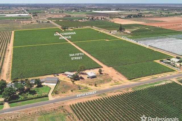 344 Fifth Street & 444 Cowanna Avenue, VIC 3505