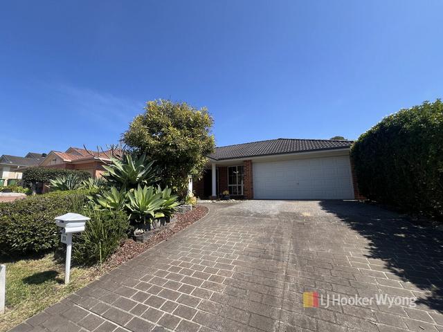 20 Quarterhorse Parade, NSW 2259