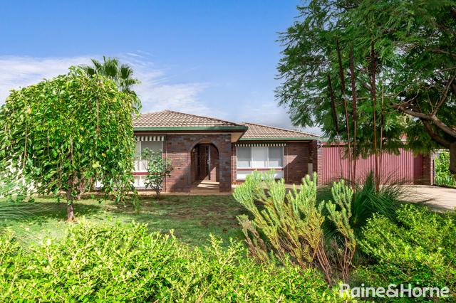 46 Pinaroo Drive, NSW 2650