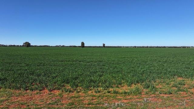 "Glen Wilga" 1027 Wollarma Road, NSW 2652
