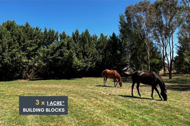 Lots 182, 183, 184 Morongla Road, NSW 2794