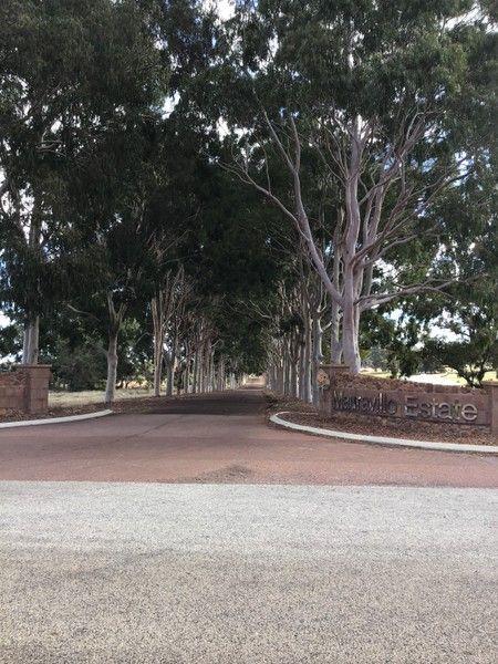 11 Shearing Rise, WA 6560