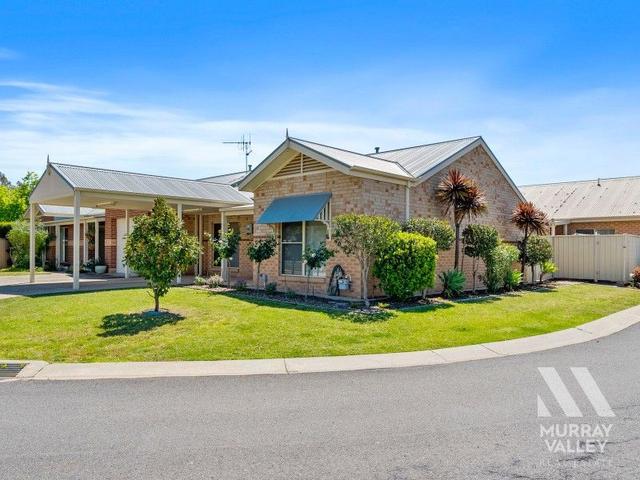 58/50-66 Erne Street, NSW 2647