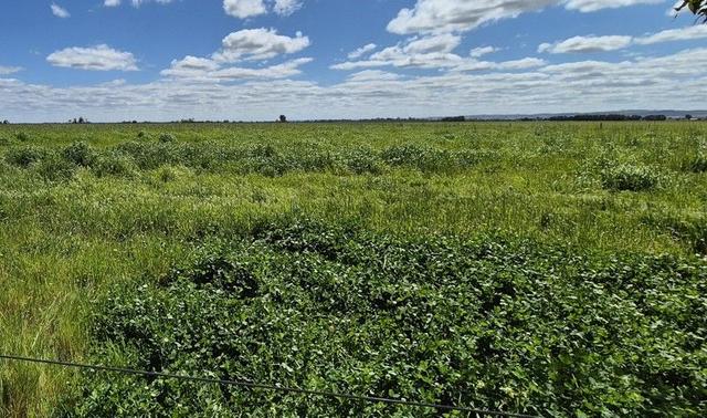4 Pin Pin Road, WA 6503