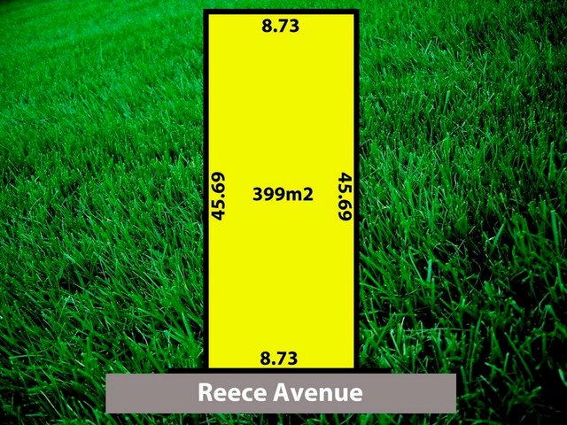 20a Reece Avenue, SA 5087
