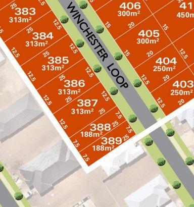 Lot 387/78 Winchester Loop, WA 6056
