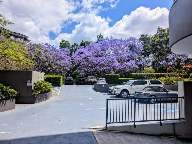 307/21 Patrick Lane, QLD 4066