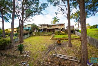 Rear Yard (2016-06-21)