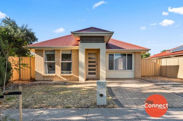 43 Basin Street, SA 5173