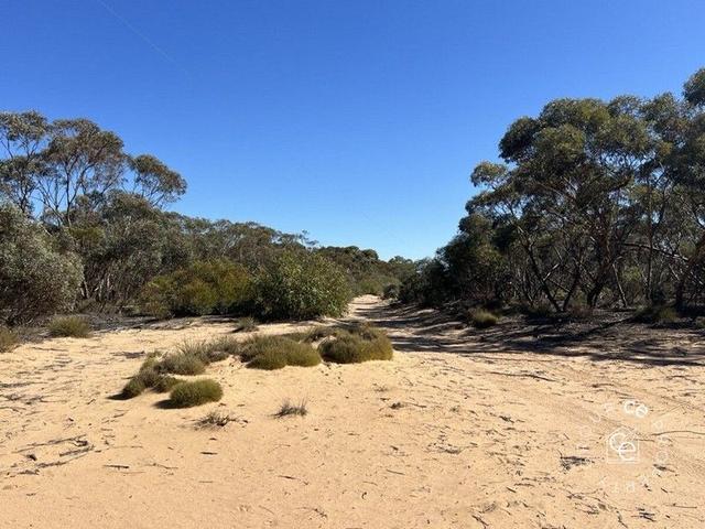 Lot 31 Black Hill Road, SA 5353