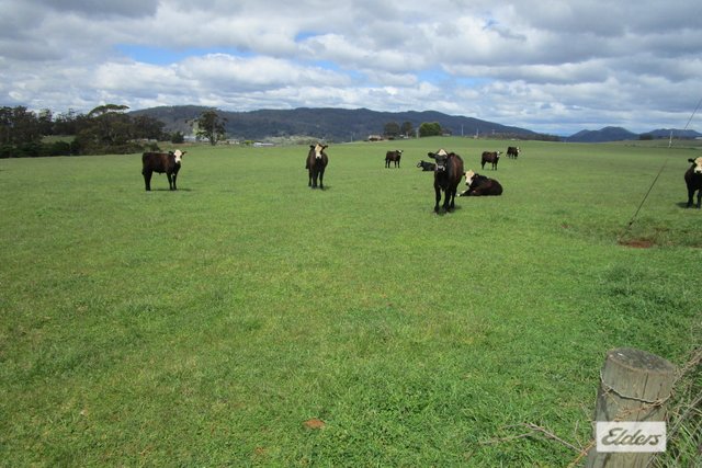 921 Melrose Road, TAS 7310