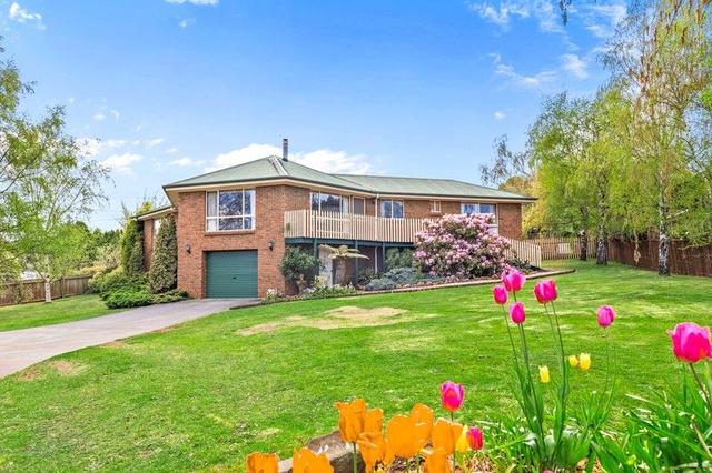 34 Lansdowne Place, TAS 7304