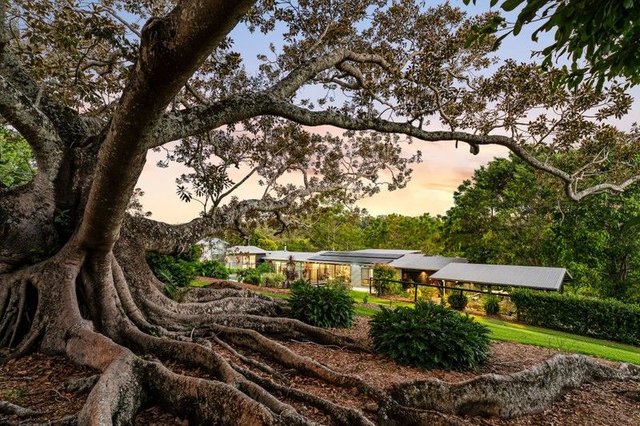 5-13 Stockyard Court, QLD 4228