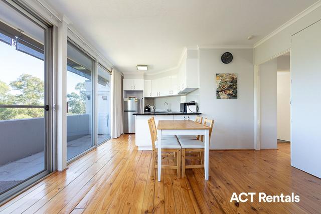 23/6 Wilkins Street, ACT 2607