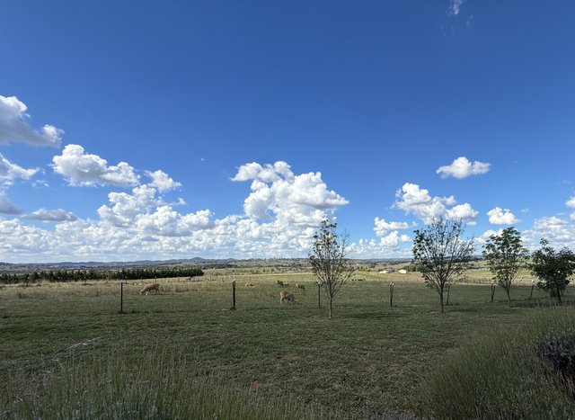 6 O'Hurley Drive, NSW 2582