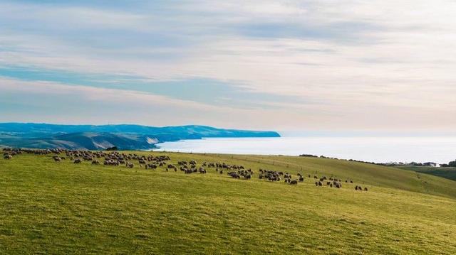 Lot 51 Smith Hill Road, SA 5204