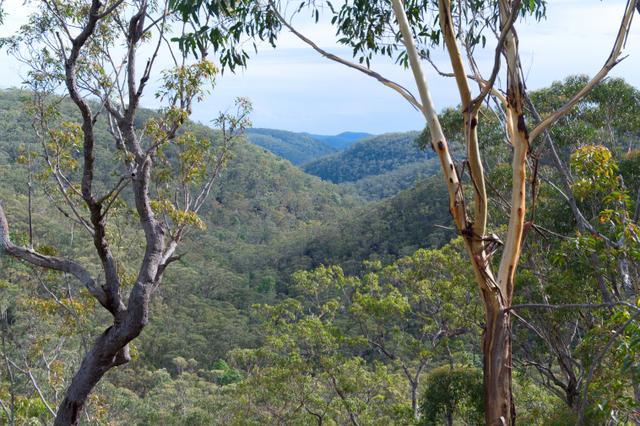 (no street name provided), NSW 2776