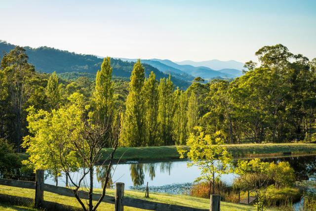 1697 Big Jack Mountain Road, NSW 2550