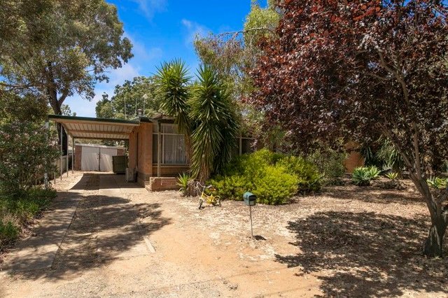 19 Theodore Street, SA 5116