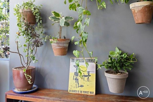 131/1 Studio Drive, NSW 2036