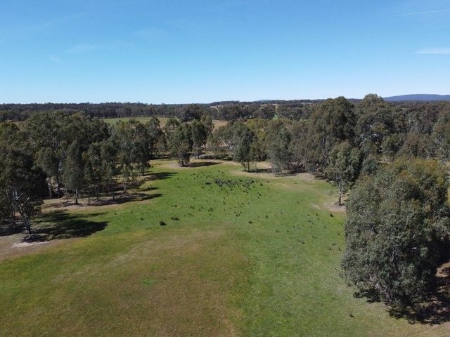Rocky Ridge Road, VIC 3477