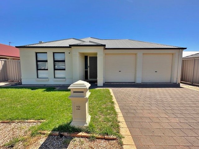 12 Fitzgerald Avenue, SA 5609
