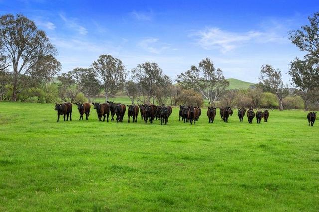 6089 Melba Highway, VIC 3717