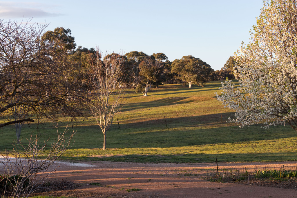 1058 Collector Road, Gunning NSW 2581 Rural for Sale Allhomes